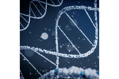 Kalsec and WillowBiosciences partner